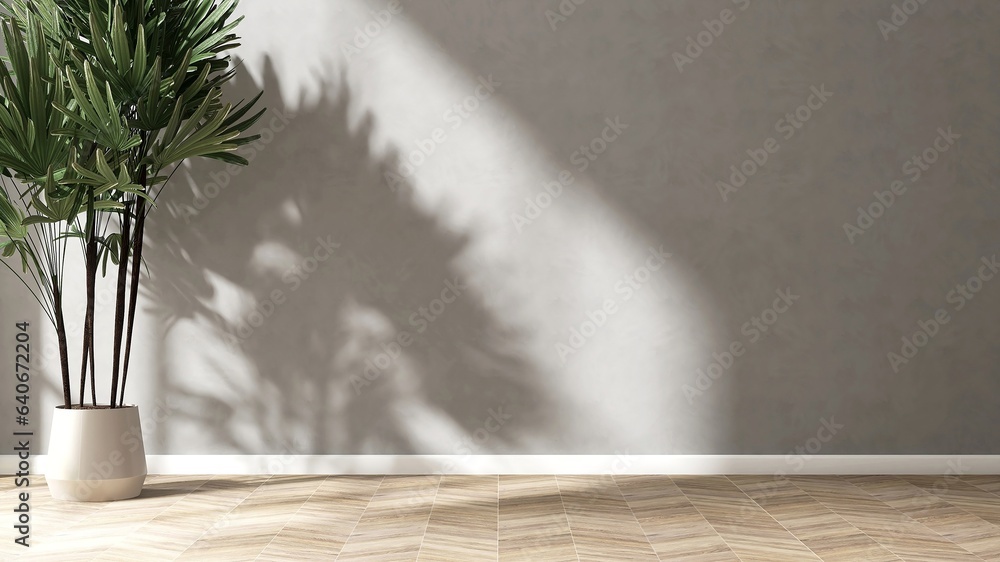 Tropical green palm in white pot in sunlight, shadow on blank gray stucco wall, herringbone tile flo