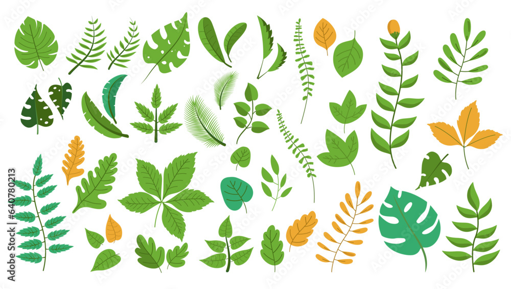 Leaves vector bundle - Collection of green and yellow leaf foliage design elements in various shapes