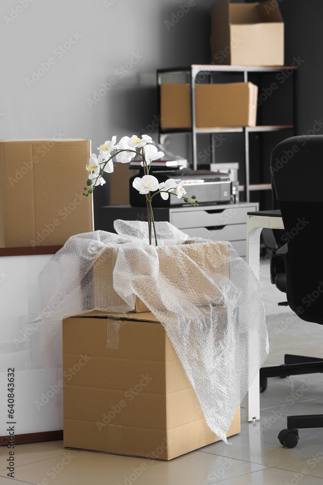 Cardboard box with flower in modern office on moving day