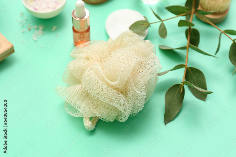 Bath sponge, bottle of essential oil and eucalyptus branch on color background