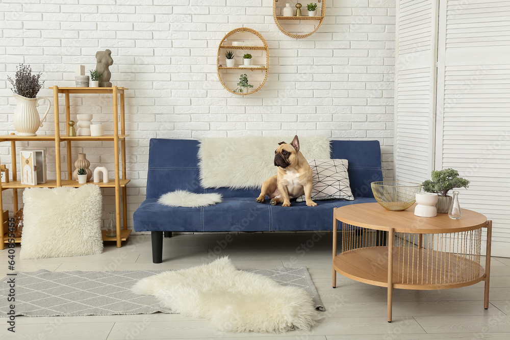 Cute French bulldog sitting on sofa in living room