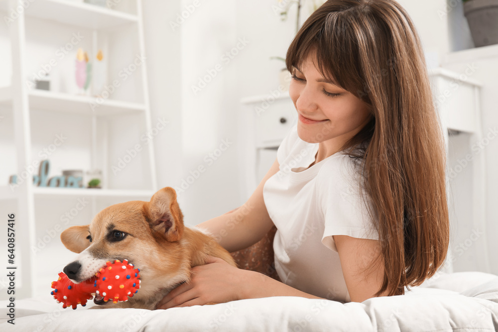 Pretty young woman lying on pet bed and playing with cute Corgi dog in living room