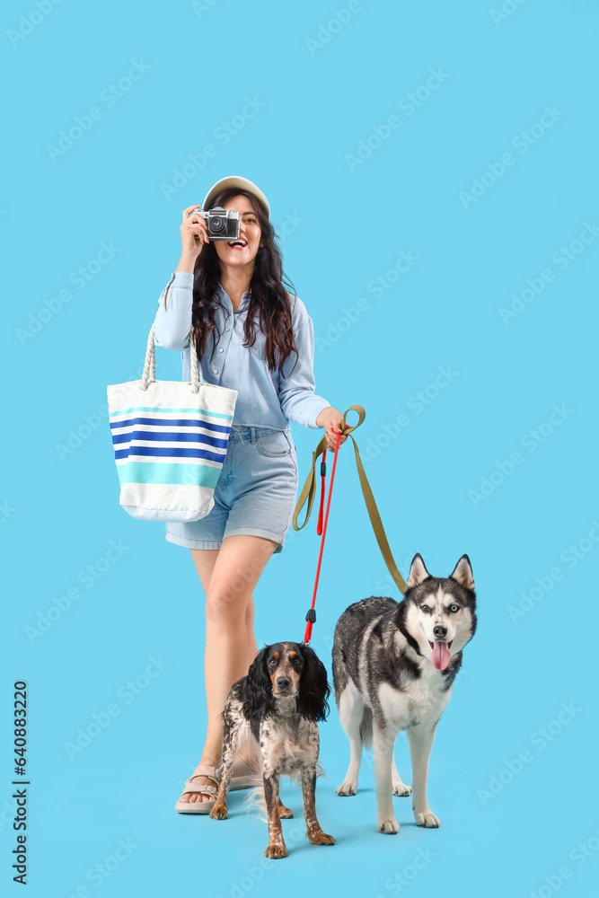 Young woman with cute dogs walking on blue background