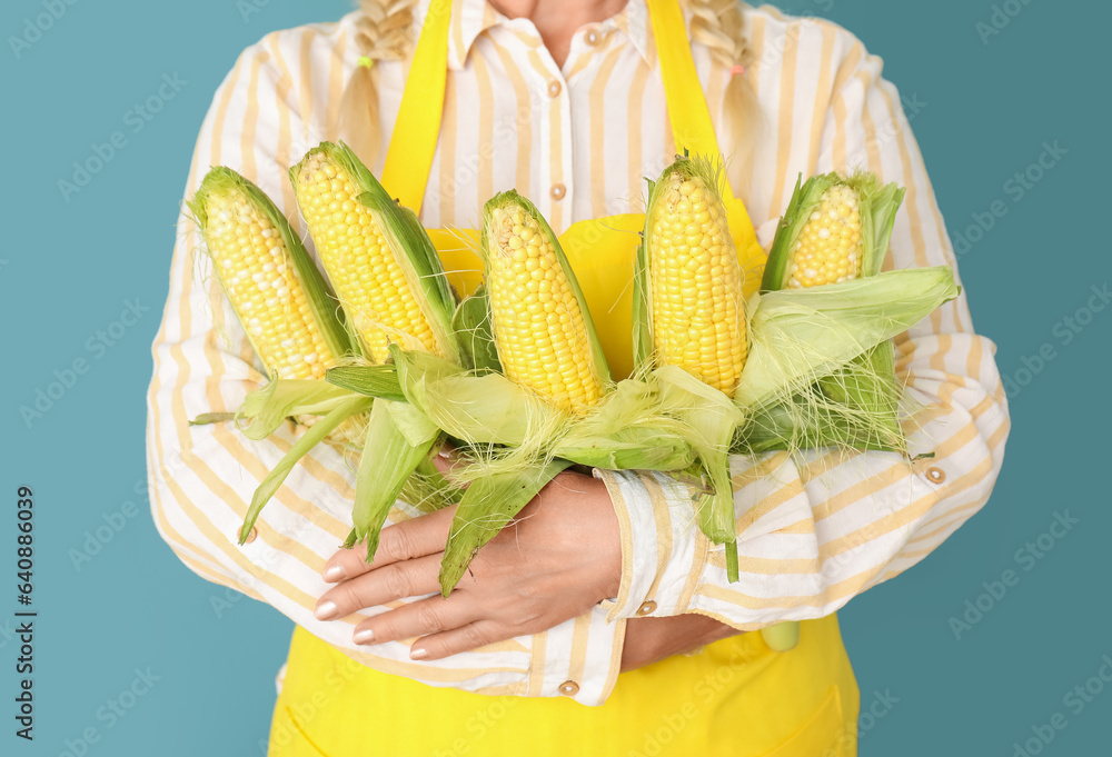 Mature female farmer with ripe corn cobs on blue background