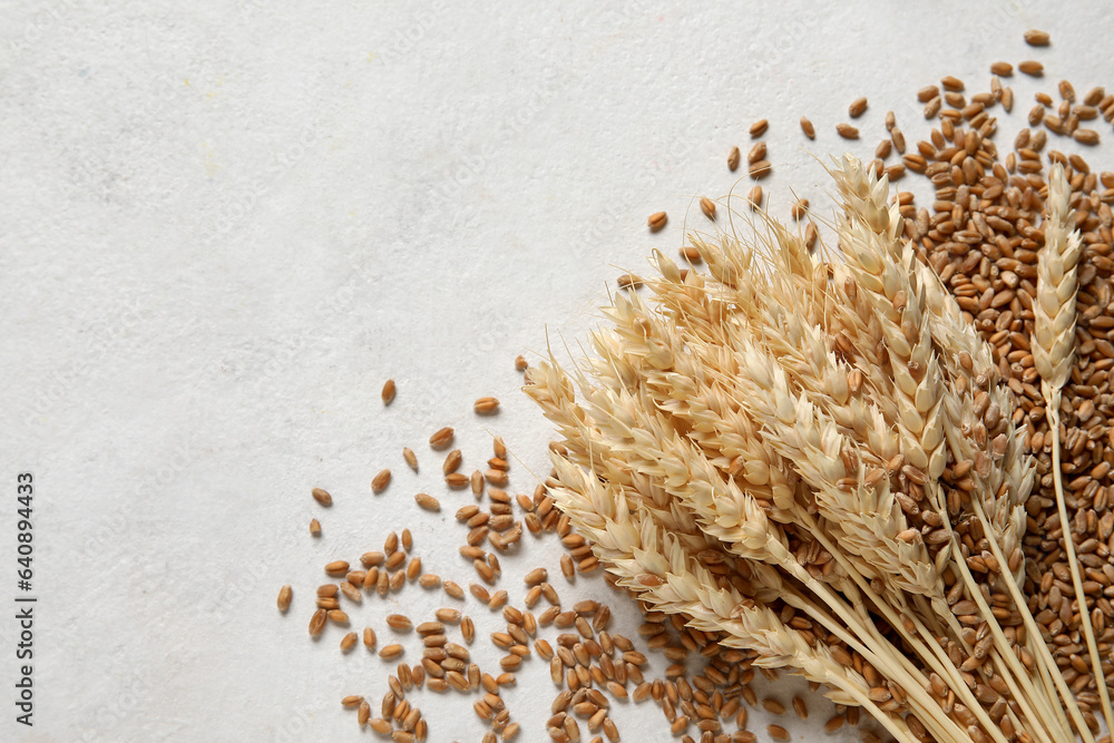 Wheat ears with grains on white background