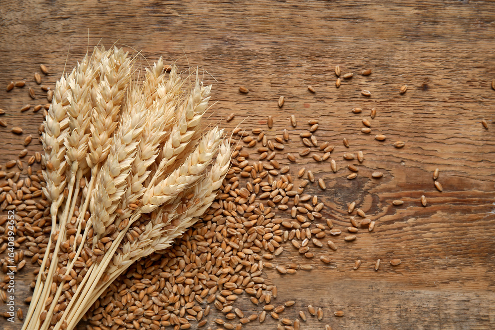 Wheat ears with grains on wooden background