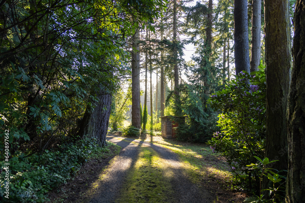 path in the park