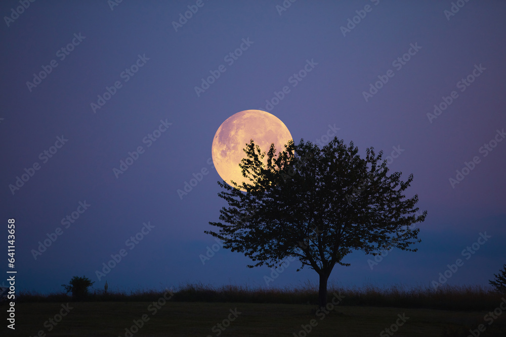 Full Moon, stars, planets and landscape scenery silhouettes.