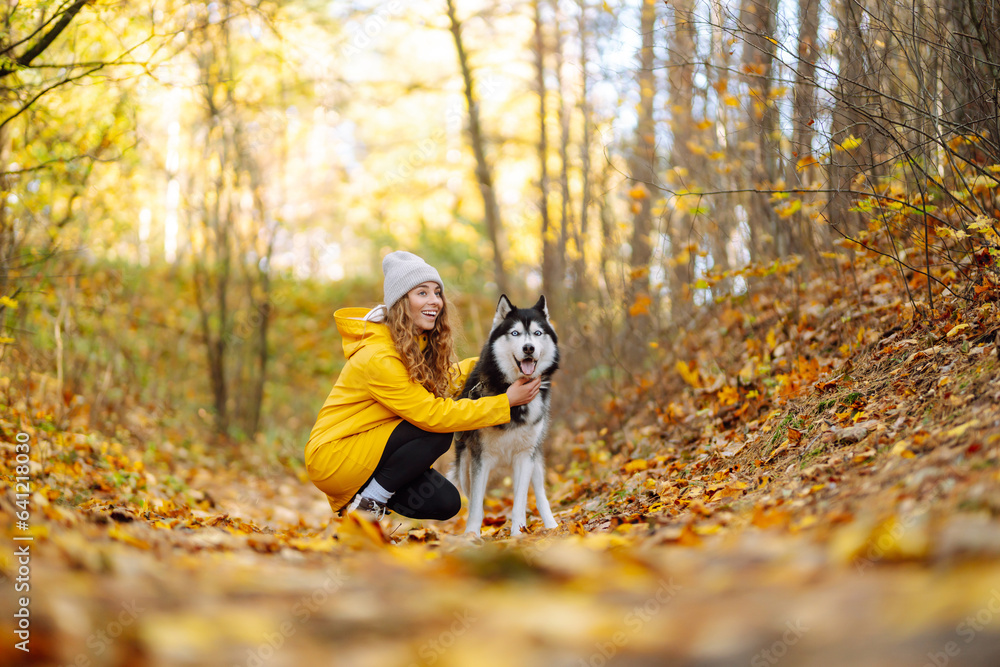 Smiling woman in a yellow coat walks with her cute pet Husky in the autumn forest in sunny weather. 