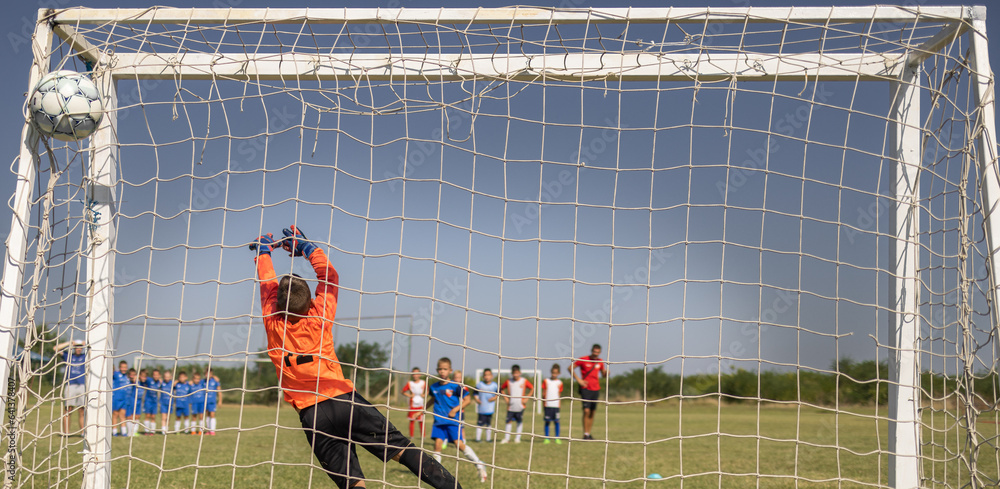 Soccer goal with a young boy goalkeeper.