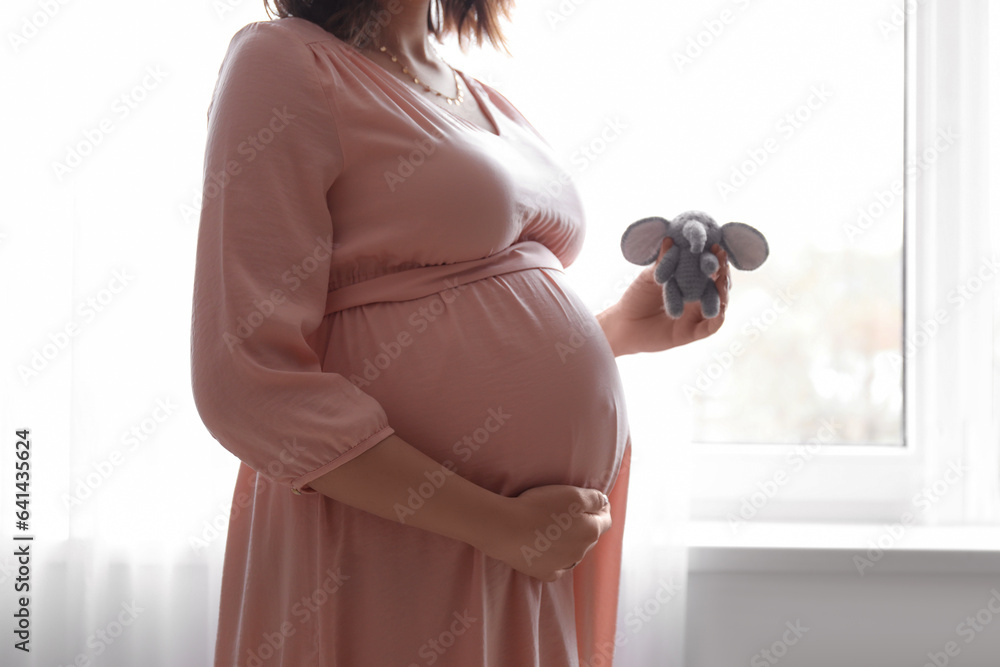 Young pregnant woman with toy elephant near window at home, closeup