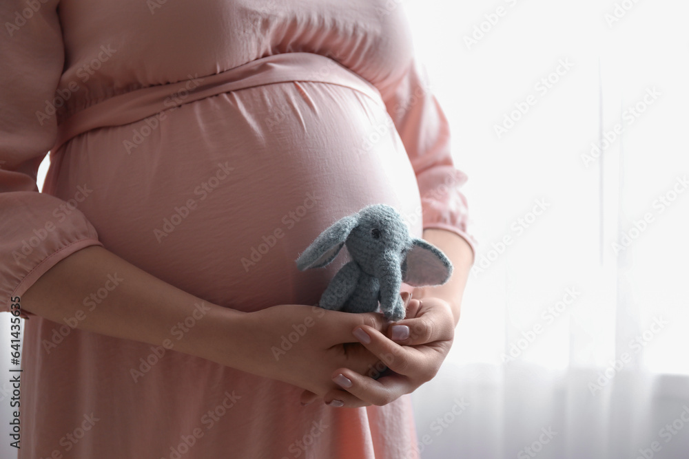 Young pregnant woman with toy elephant near window at home, closeup