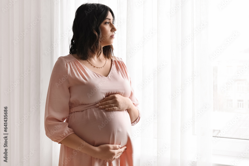 Young pregnant woman near window at home