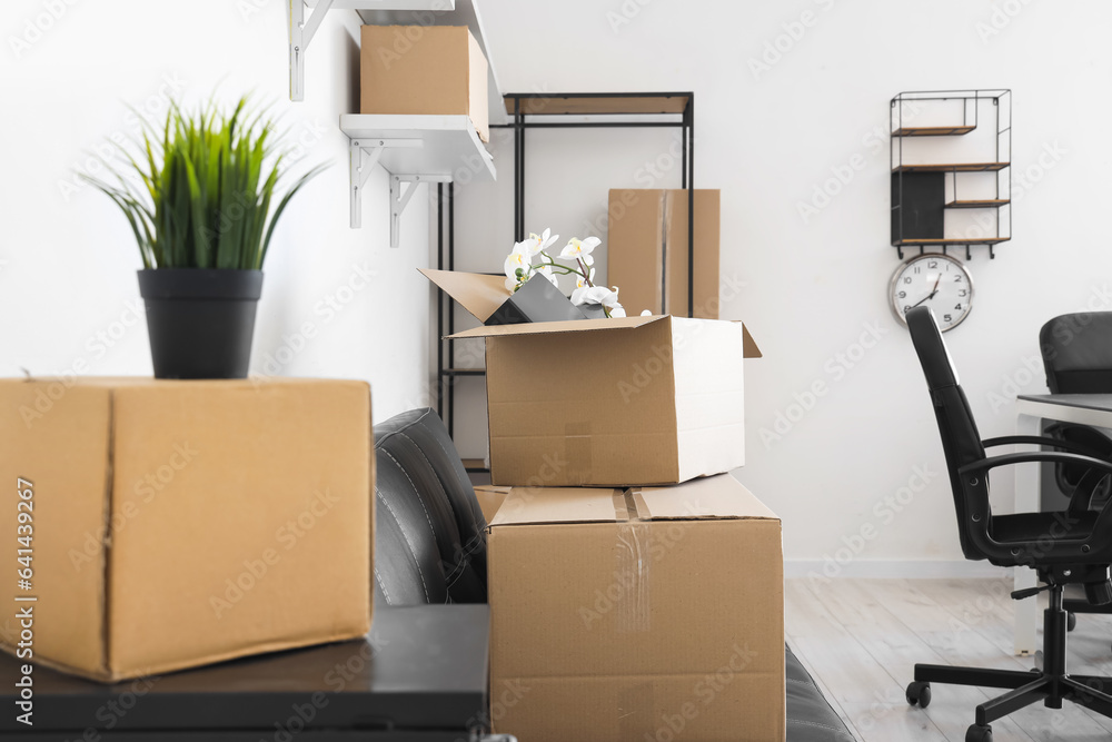 Cardboard boxes with houseplant and personal belongings in office on moving day