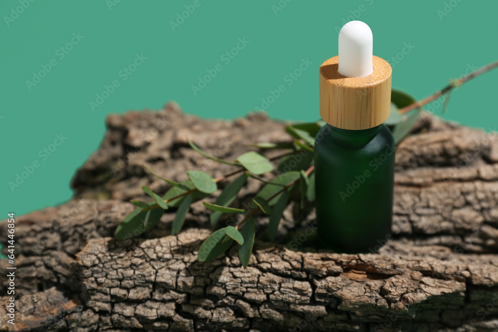 Bottle of essential oil, tree bark and eucalyptus branch on green background, closeup