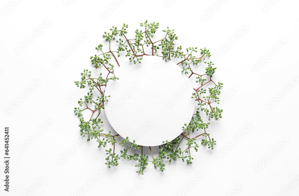 Green twigs with round blank card on white background