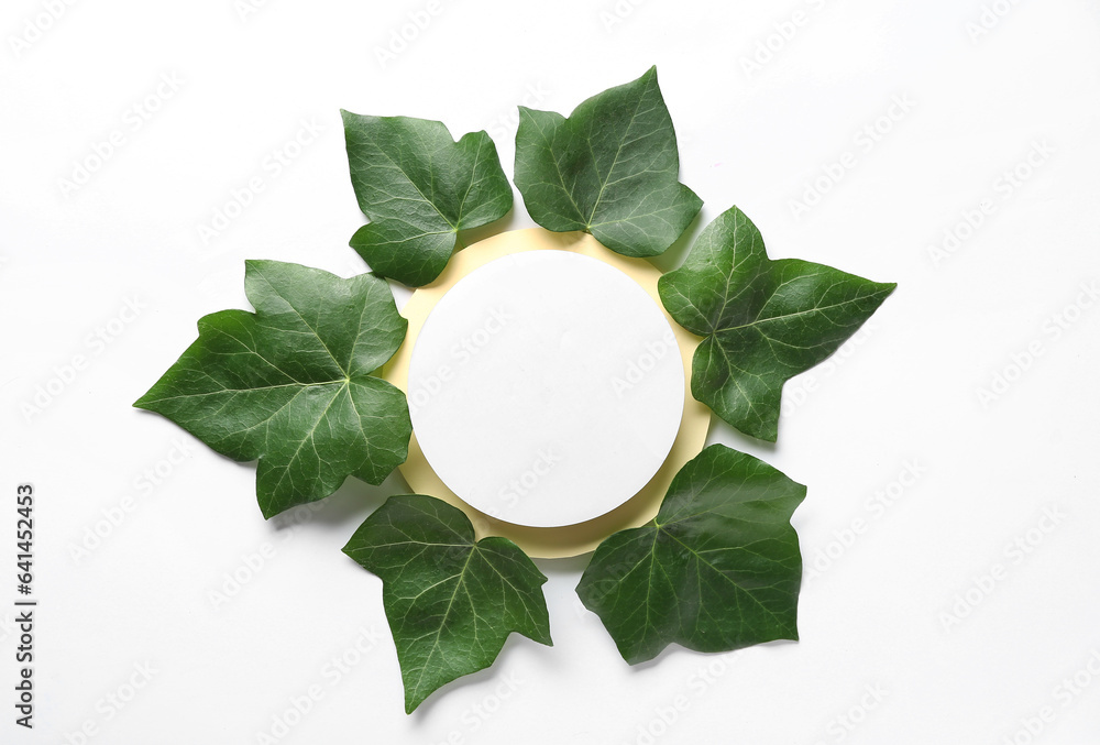 Green ivy leaves with round blank card on white background