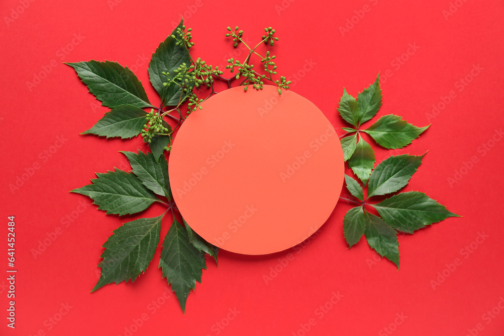 Green leaves with round blank card on red background