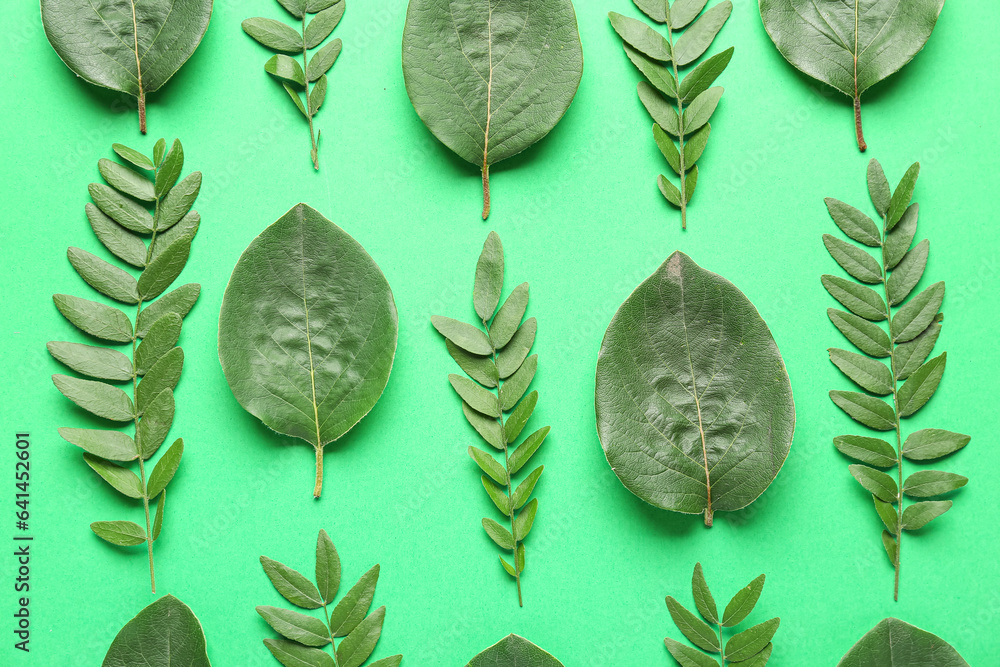 Green leaves and twigs on color background