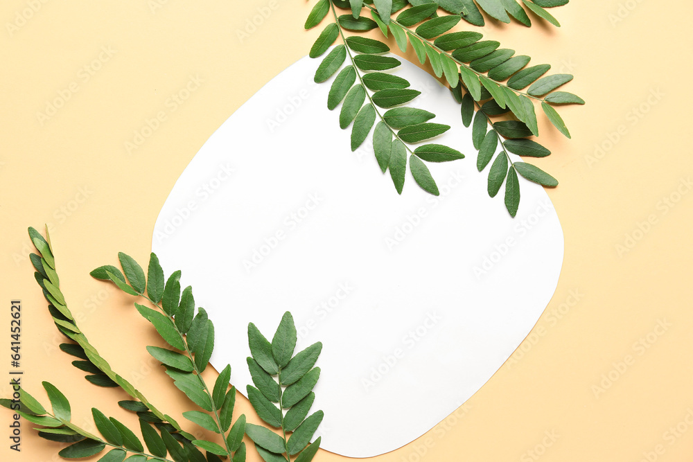 Green leaves of acacia tree with blank card on beige background