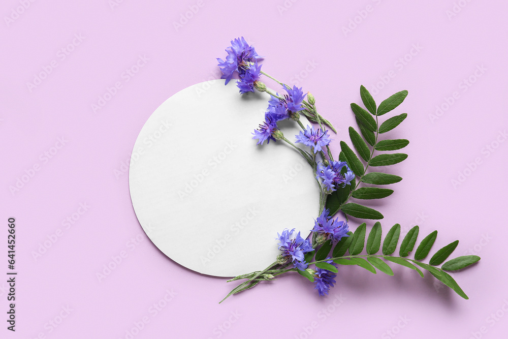 Beautiful cornflowers and green leaves of acacia tree with round blank card on lilac background