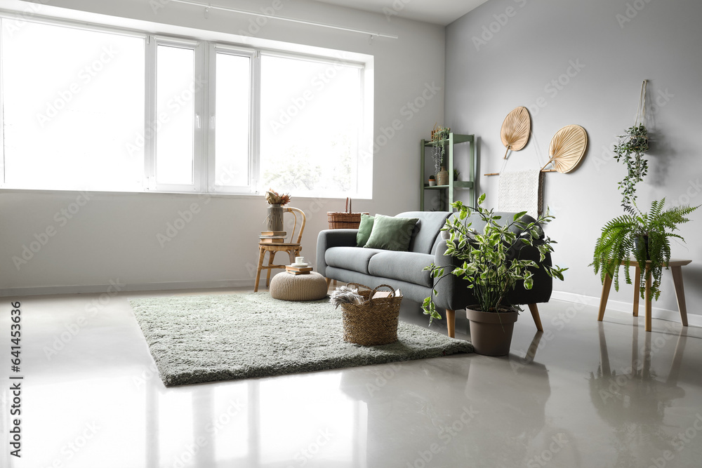 Interior of light living room with sofa, wicker basket and houseplants