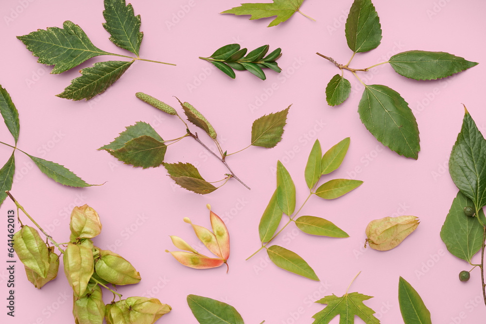 Different green leaves on pink background