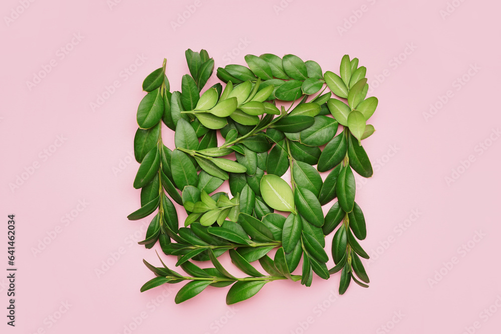 Green twigs on pink background