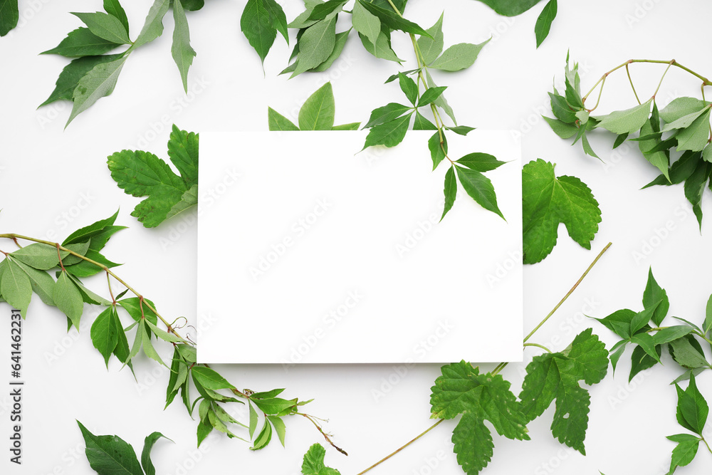 Blank card and twigs with green leaves on white background