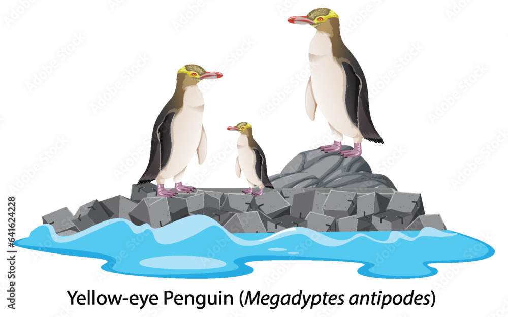 Yellow eyed penguin cartoon on the rock