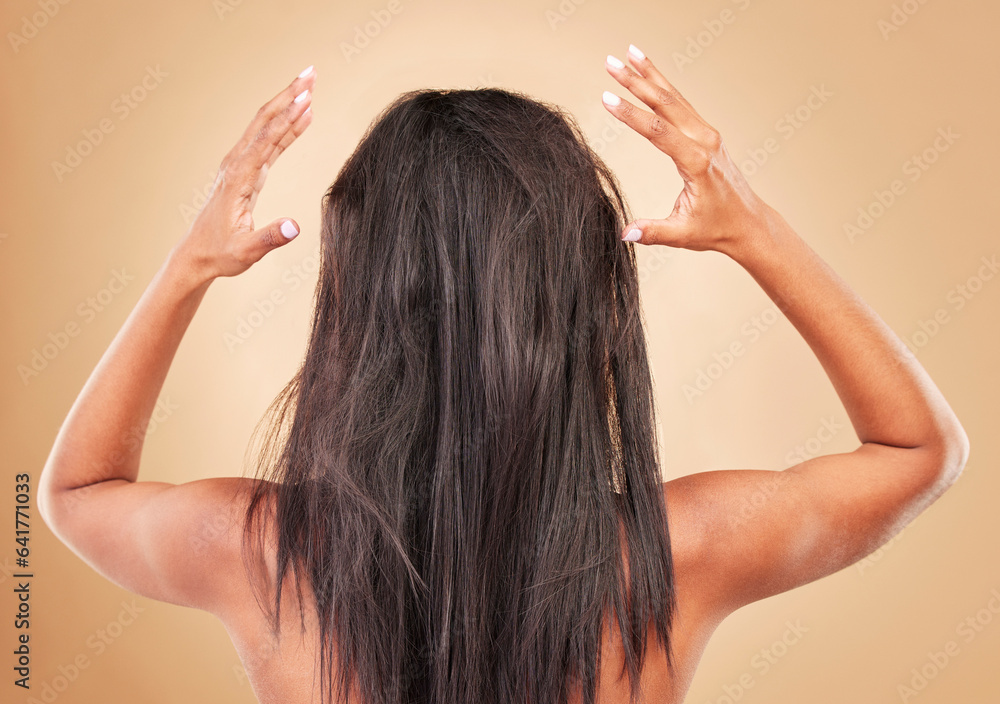 Damaged, hair and back of messy woman in studio, background or haircare for tangled, brittle or friz