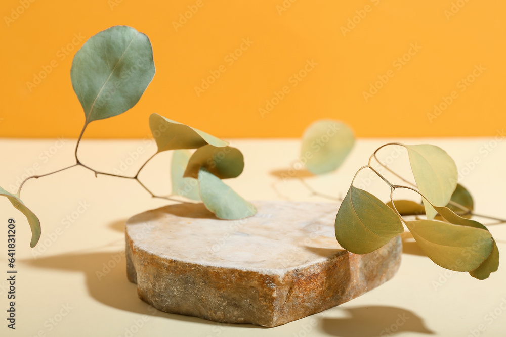 Eucalyptus with stone on table near yellow wall