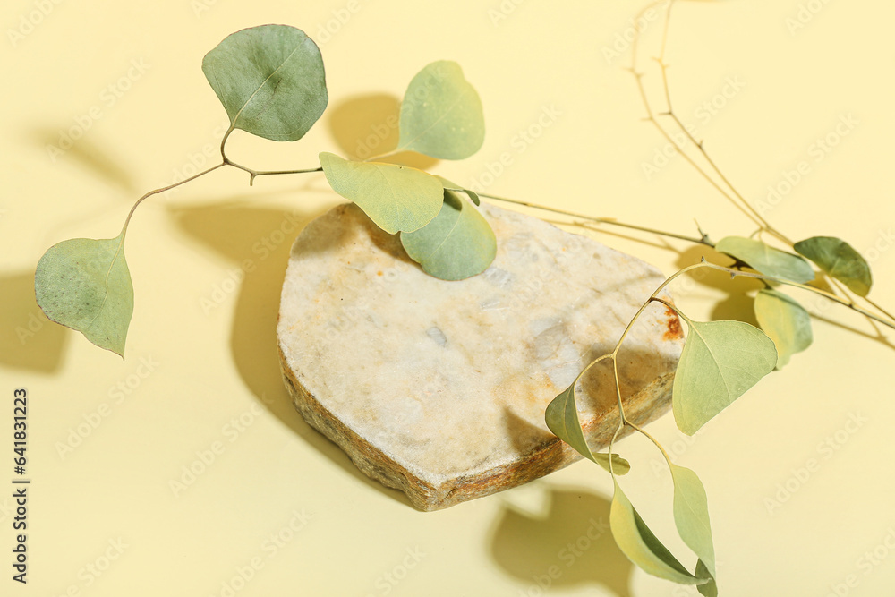 Eucalyptus with stone on yellow table