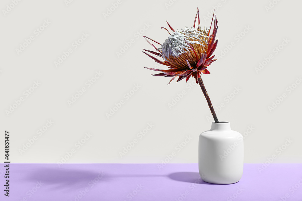 Vase with dried red protea on lilac table near white wall