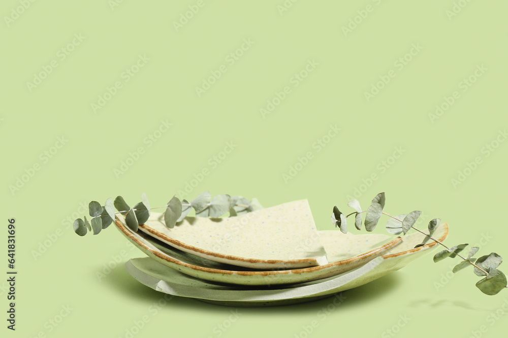 Broken plates with eucalyptus on green background