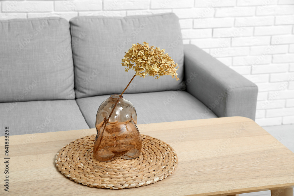 Vase with dried hydrangea and mat on coffee table near couch