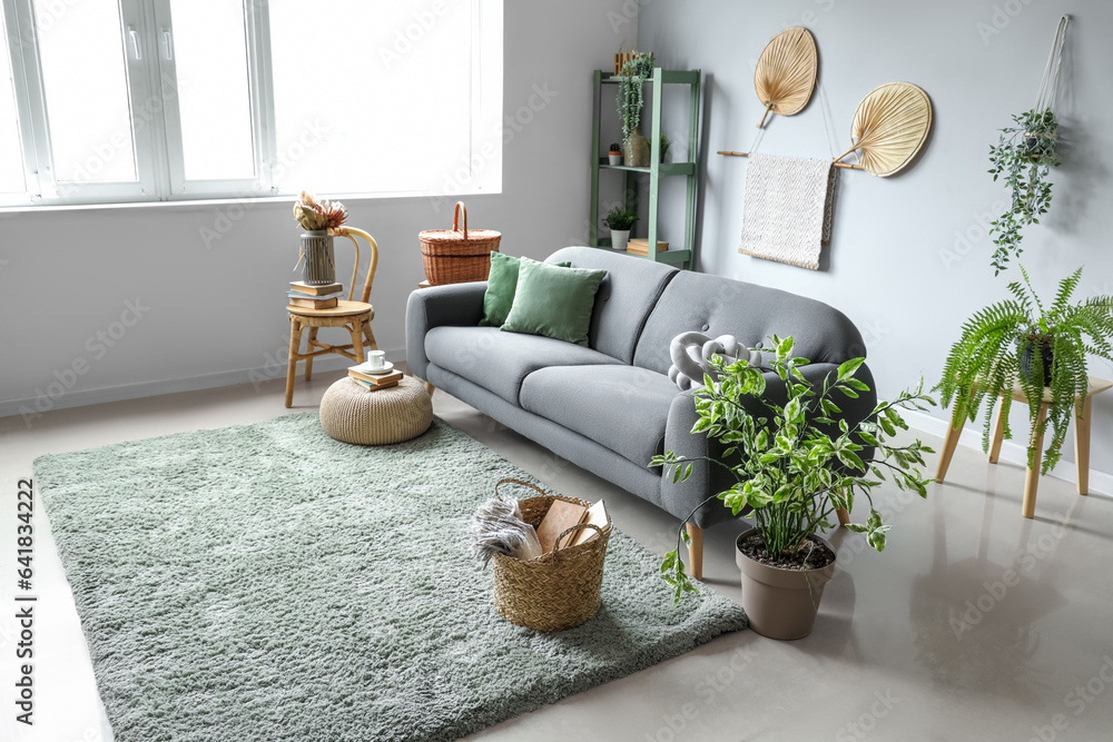 Interior of light living room with sofa, wicker basket and houseplants