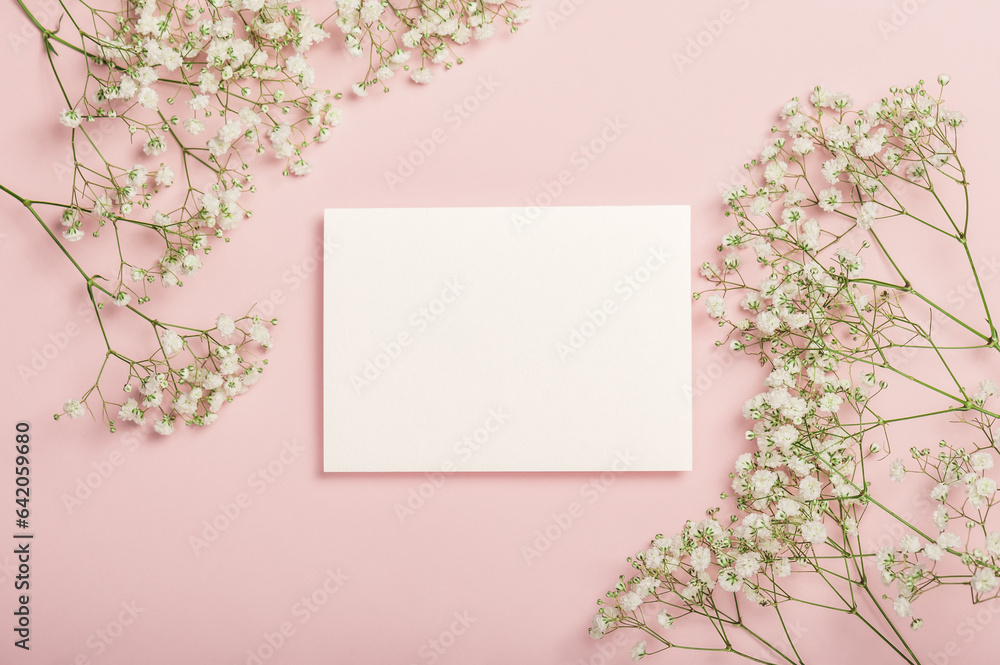 Delicate white gypsophila flowers and a blank card on a pink background. Flat composition. Postcard,