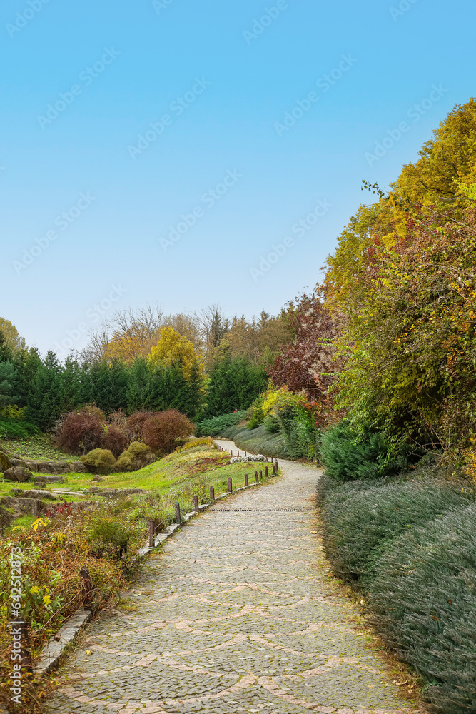 View of beautiful autumn park with alley, bushes and trees