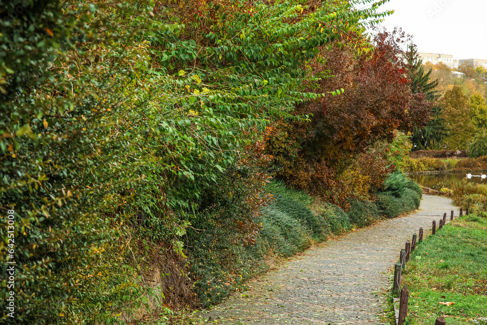 View of beautiful autumn park with alley, bushes and trees