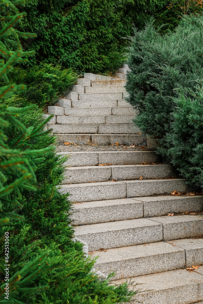 View of stairs and coniferous bushes in park