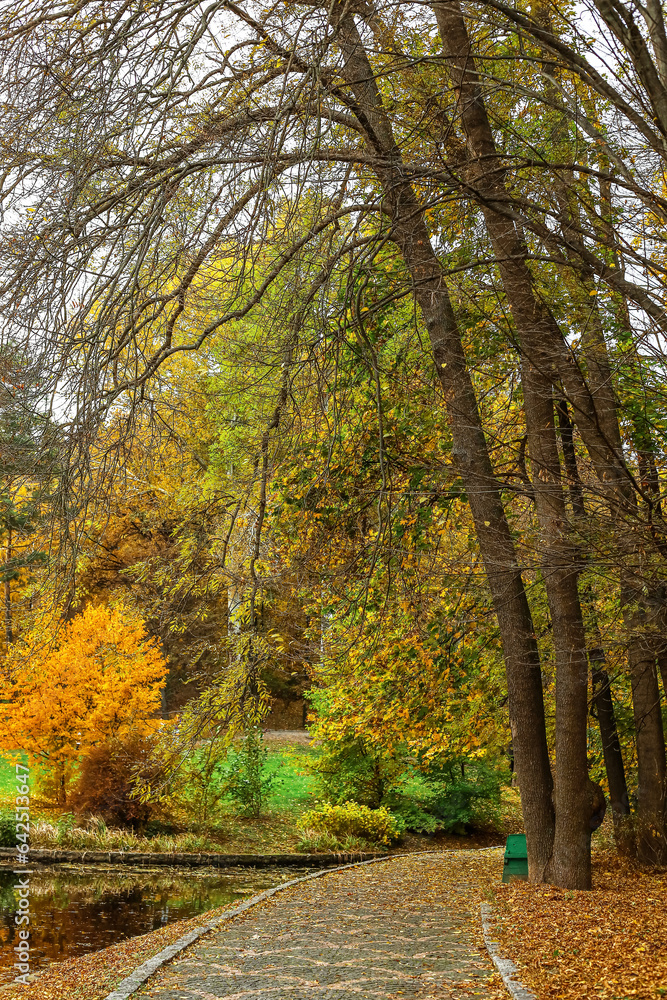 View of beautiful autumn park with alley and trees