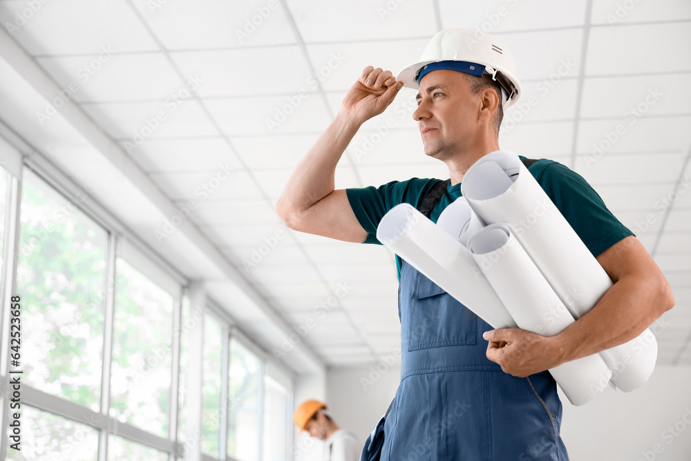 Mature builder with paper rolls in room