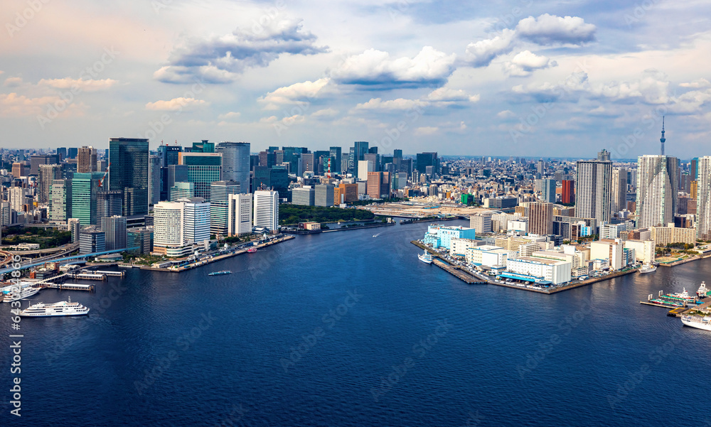 Aerial view of Odaiba Harbor in Minato City, Tokyo, Japan