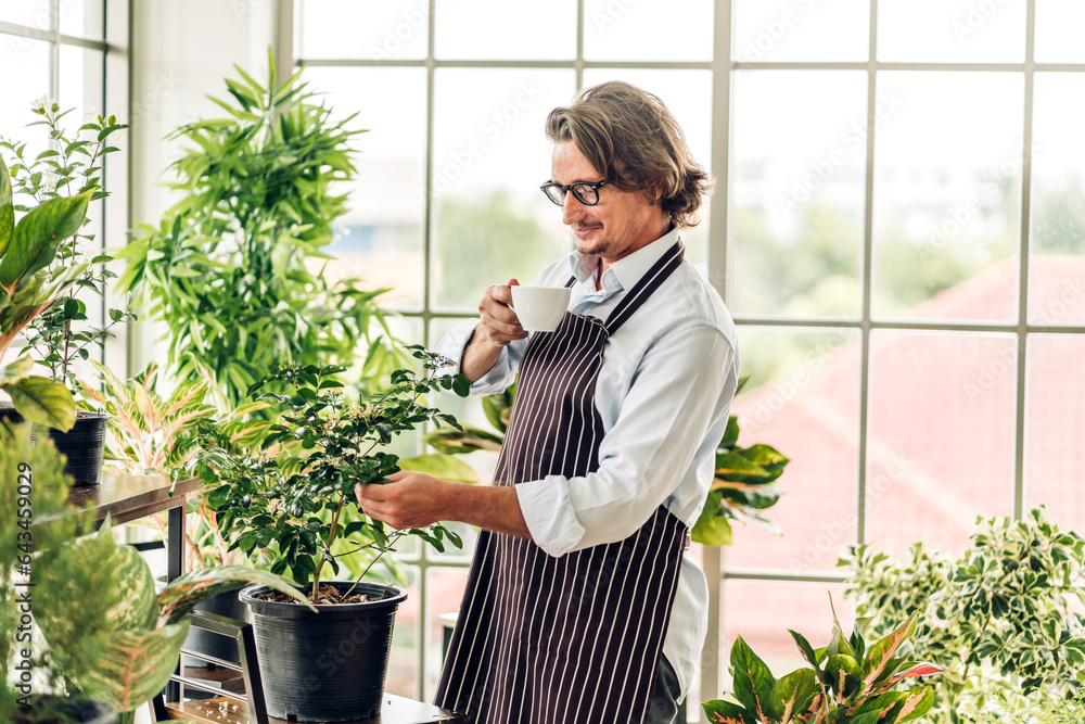 Happy gardener senior old eldery man looking at young plant watering and gardening with potted plant