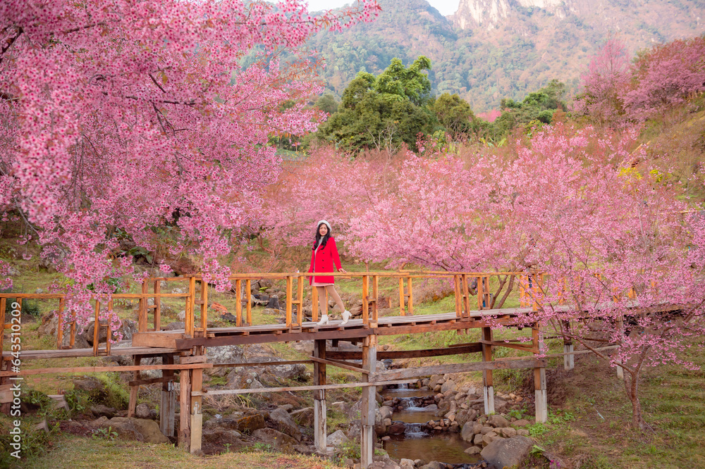 sakura flower and landscape