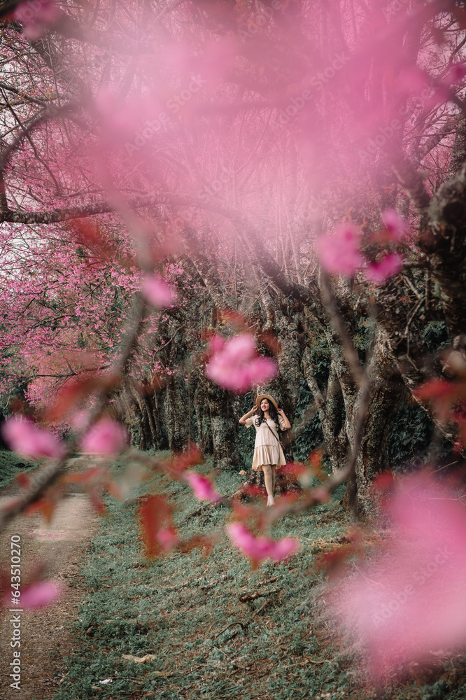 sakura flower and landscape