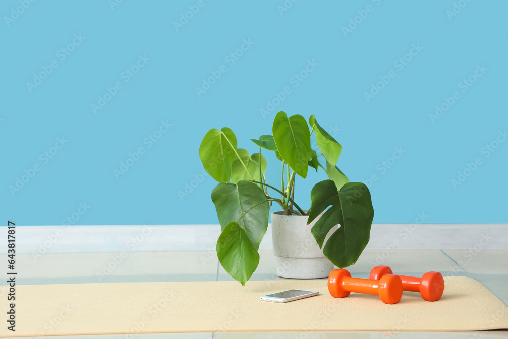 Mobile phone with dumbbells and palm on fitness mat near blue wall in gym