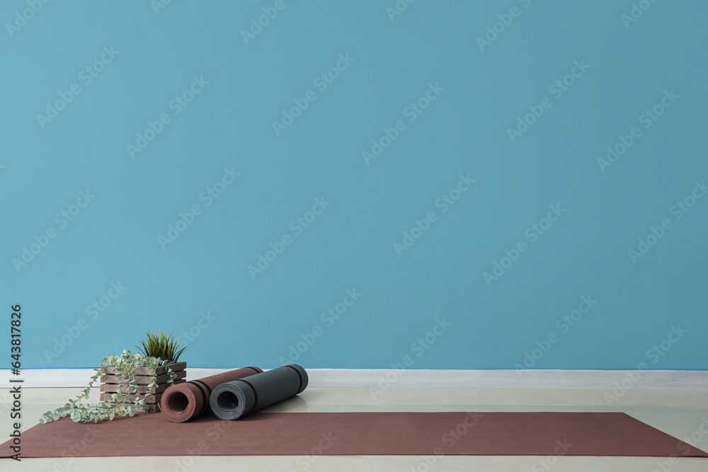 Fitness mats with plant near blue wall in gym