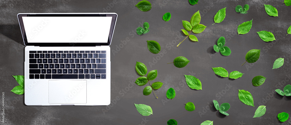 Laptop computer with green leaves - flat lay